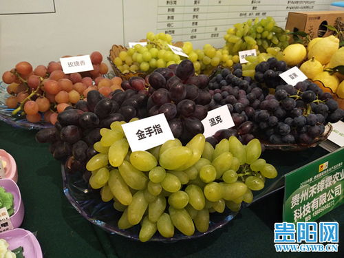 2019中國貴陽國際特色農產品交易會盛大開幕，農產品貿易迎來新機遇