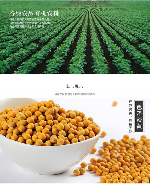 從一粒黃豆看中國農產品產業的現代化發展之路