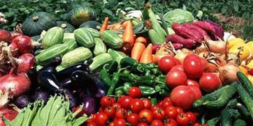 皖校食堂攜手，愛(ài)心采購(gòu)助農(nóng)惠學(xué)